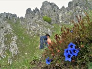 02 Il ripido Canalino dei sassi annunciato da splendide genziane di Clusius (Gentiana clusii) 